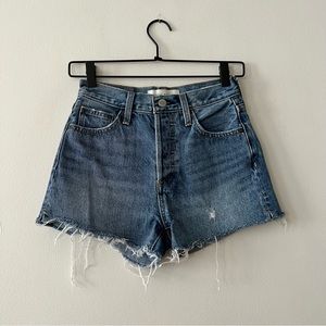 Aritzia Denim Forum Yoko High Rise Denim Shorts